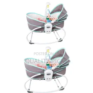 Baby Swing Bouncer