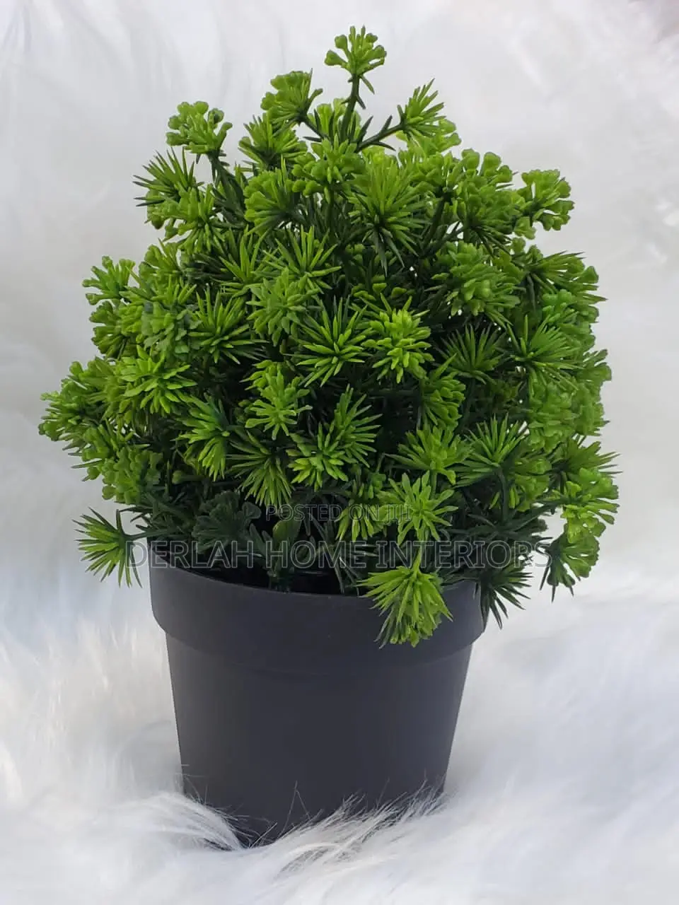 Artificial Plants