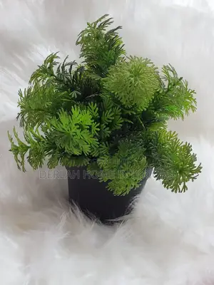 Artificial Plants