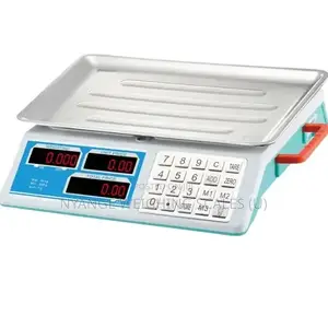Commercial Weigh Accurate Electronic Portable Weighing Scale 40kg [32]
