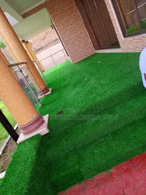 Artificial Turf Grass Carpet/Grass Carpet/Grass Carpet