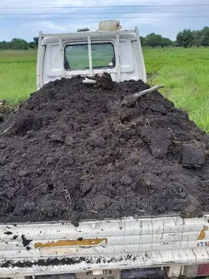 Fertile, Organic Pure Black Soil