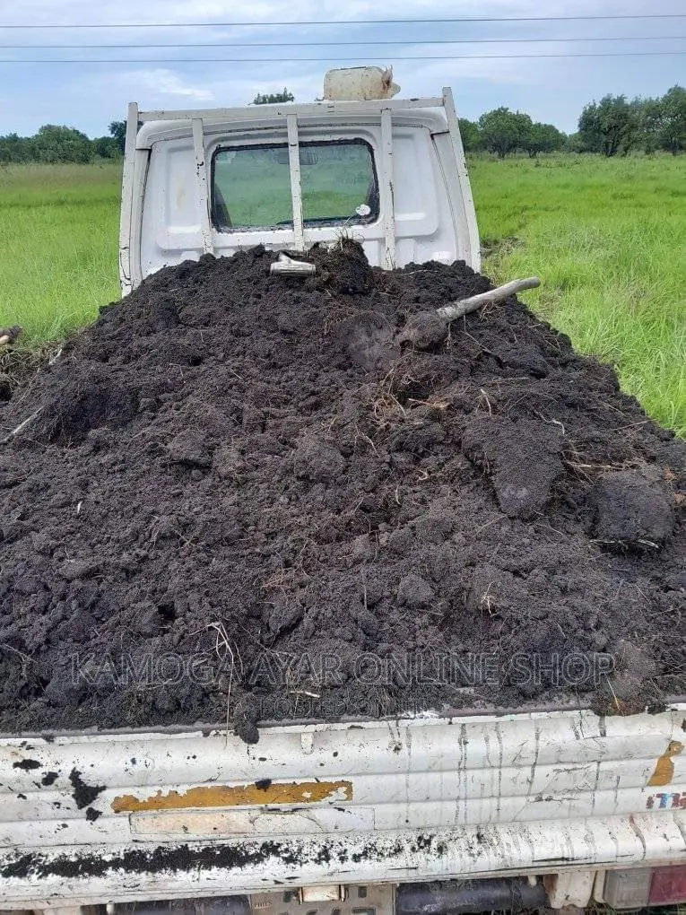 Fertile, Organic Pure Black Soil