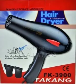 Electric Hand Hair Dryer