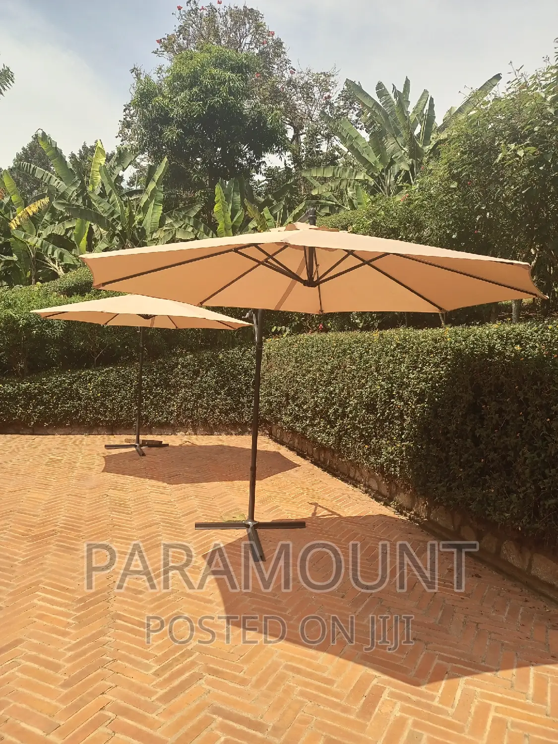 Khaki Beige Umbrella (3m Wide)