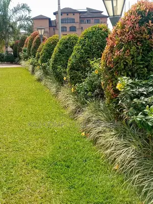 Landlandscaping for Modern Compound