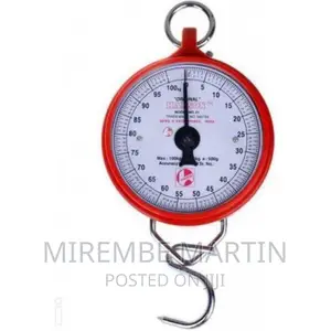 Hanson Heavy Duty Portable, Hook Type 100kg Weighing Scale
