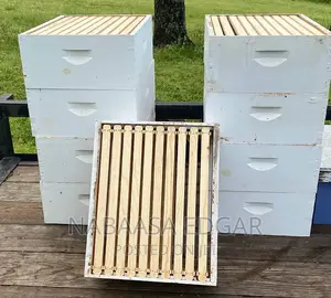 Wooden Bee Hives