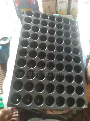 Seed Trays