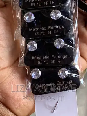 Ice Magnetic Earpins