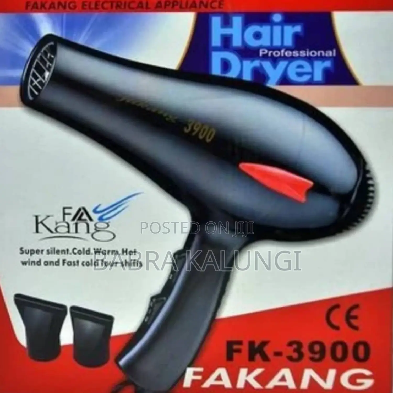 Electric Hand Hair Dryer