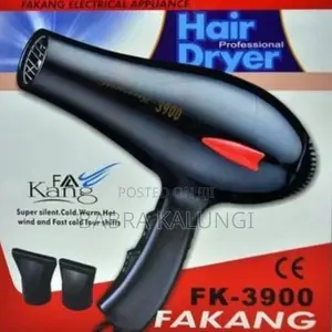 Electric Hand Hair Dryer