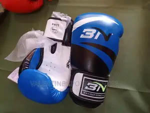 Boxing Gloves BN Original Material All Colours