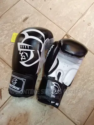 Boxing Champion Gloves Original Material