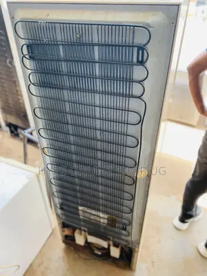 Professional Fridge Gas Refilling and Repair