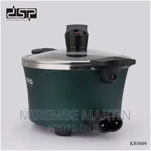 New Design Electric Pressure Cooker