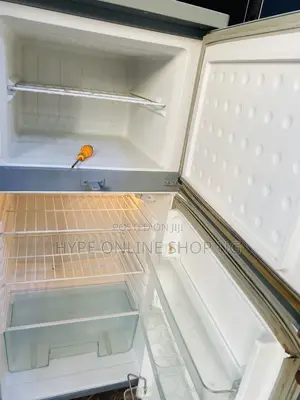 Professional Fridge Repair Services