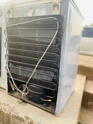 Business and Home Professional Fridge Repairs