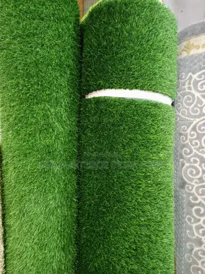 Artificial Turf Grass Carpet/Grass Carpet/Grass Carpet
