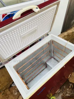 Gas and Other Fridge Repair Services