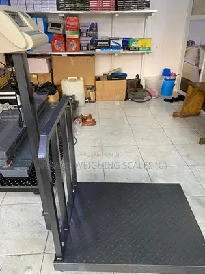 New Platform Digital Weighing Scale Weigh Grey Digital Weighing Scale