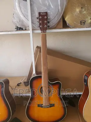 Ibanez Acoustic Guitar