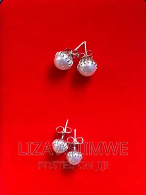 Simple Lady’S Earpins