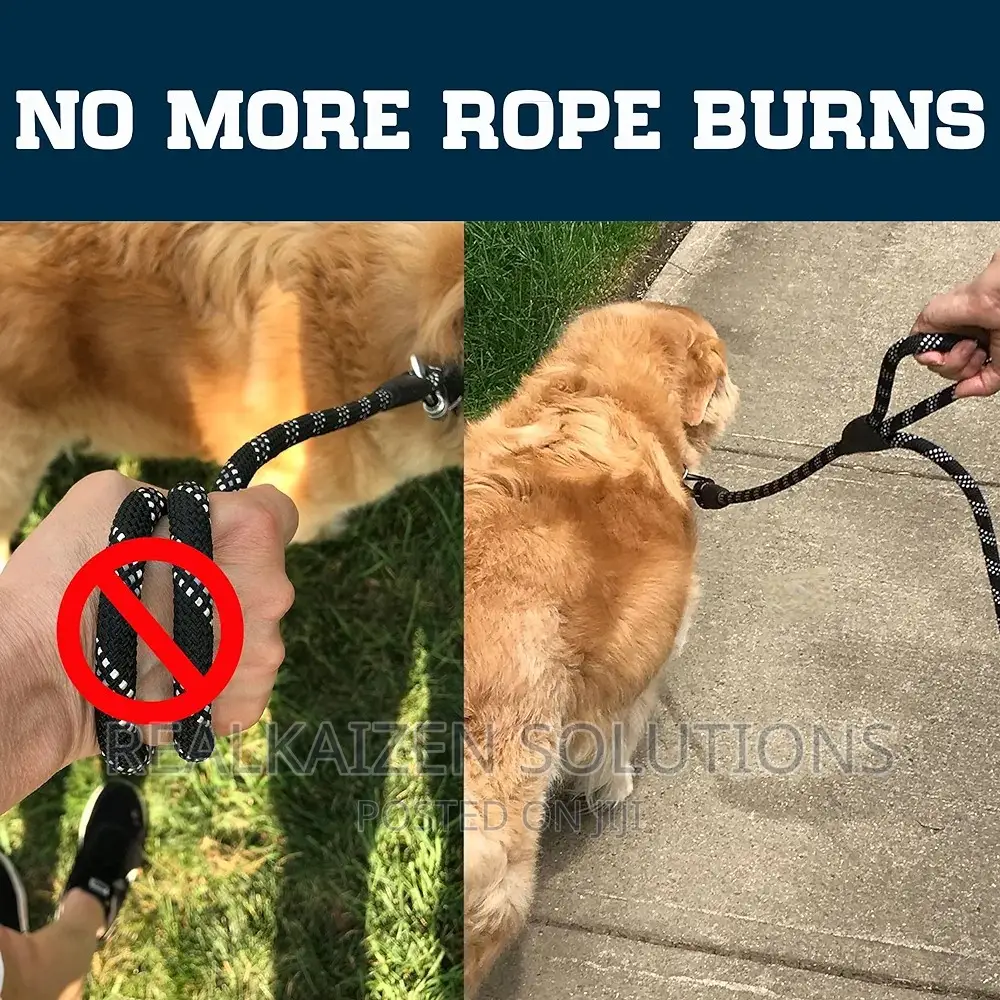 UBL Pet Training Dog Lead Leach With 2 Handles