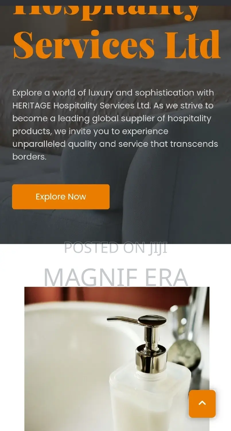 Professional Web Site Designer
