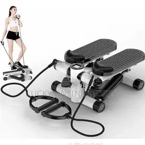 Portable Mini Fitness Twist Stepper