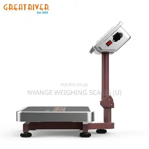 Bench Weigh Digital Platform Weighing Scale 100kg Weighing Scale