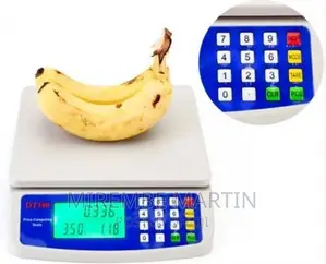 30kg Electronic Mini Digital Price Computing Weighing Scale