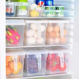 ABS Plastic Fridge Storage Box With Handle and Cover