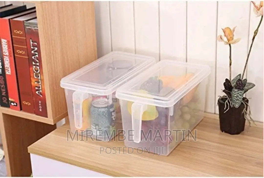 ABS Plastic Fridge Storage Box With Handle and Cover
