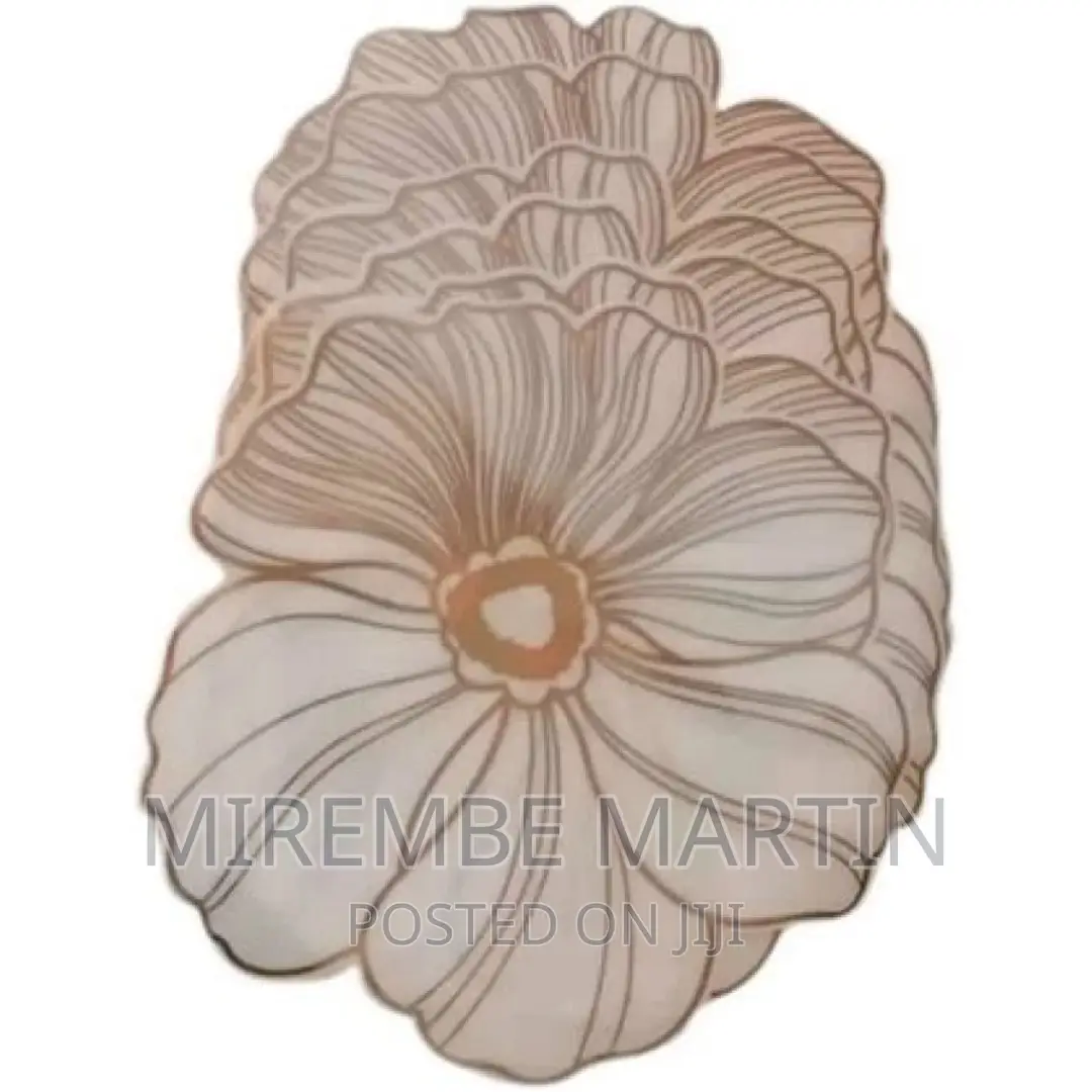 Pieces of Plastic Placemats Table Mats