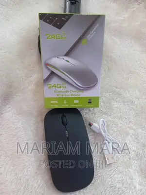 Rechargeable Mouse / Bluetooth Mouse