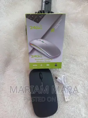 Rechargeable Mouse / Bluetooth Mouse