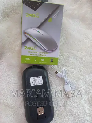 Rechargeable Mouse / Bluetooth Mouse