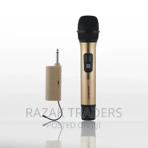 Single Wireless Microphone With Receiver