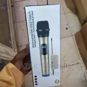 Single Wireless Microphone With Receiver