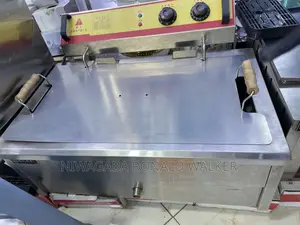 25L Commercial Electric Deep Fryer