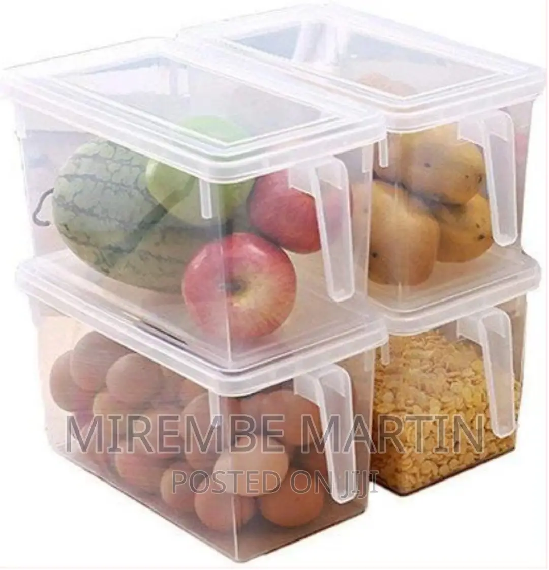 Container Box Holder Organiser Food Containers -