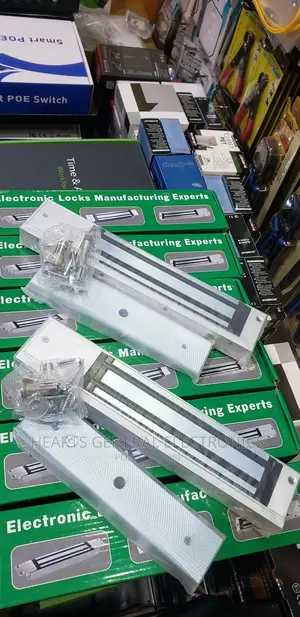Electronic Locks / Magnetic Lock