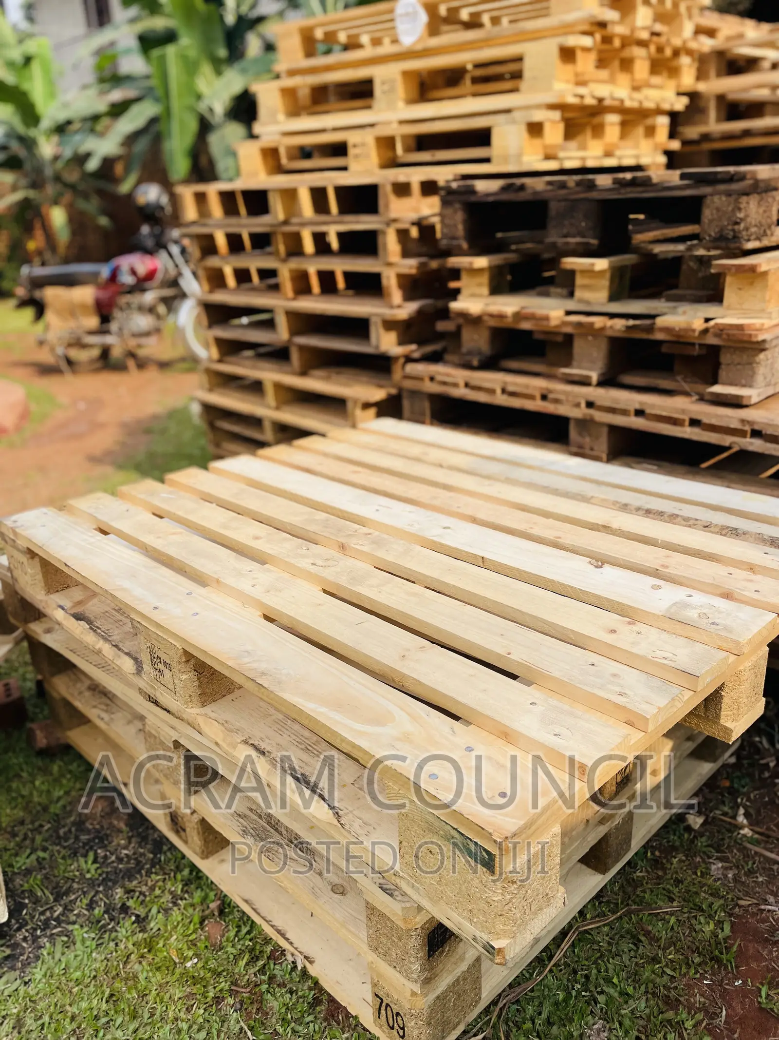 Brand New Pine Pallets