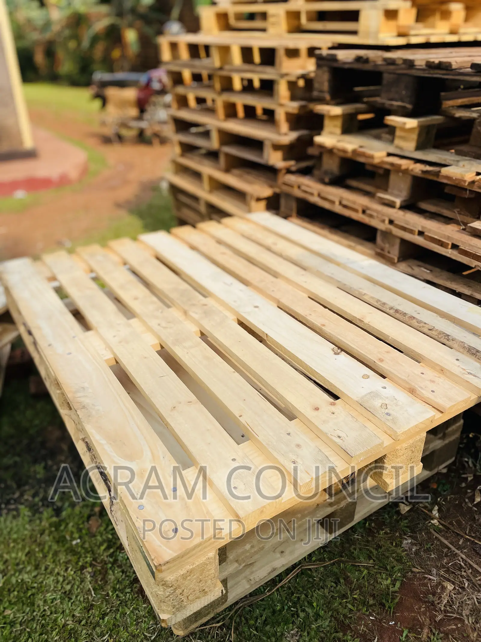 Brand New Pine Pallets