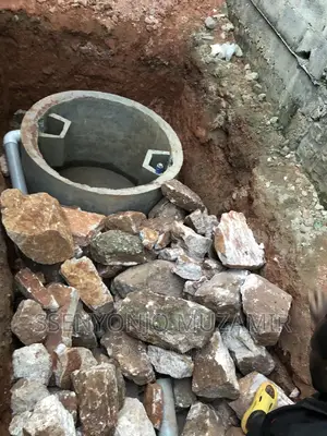 New System of Biodigester Septic Tank System