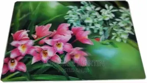 12 Pieces of Plastic Placemats Table Mats