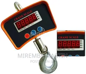 1 Tonne Rechargeable Hanging Crane Weighing Scale