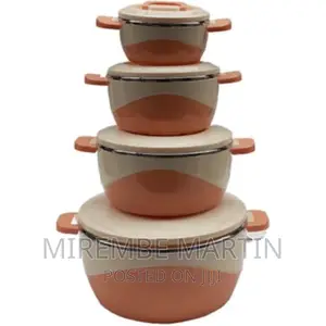 4 Pieces Insulated Hot Pot Dishes Food Container Casseroles