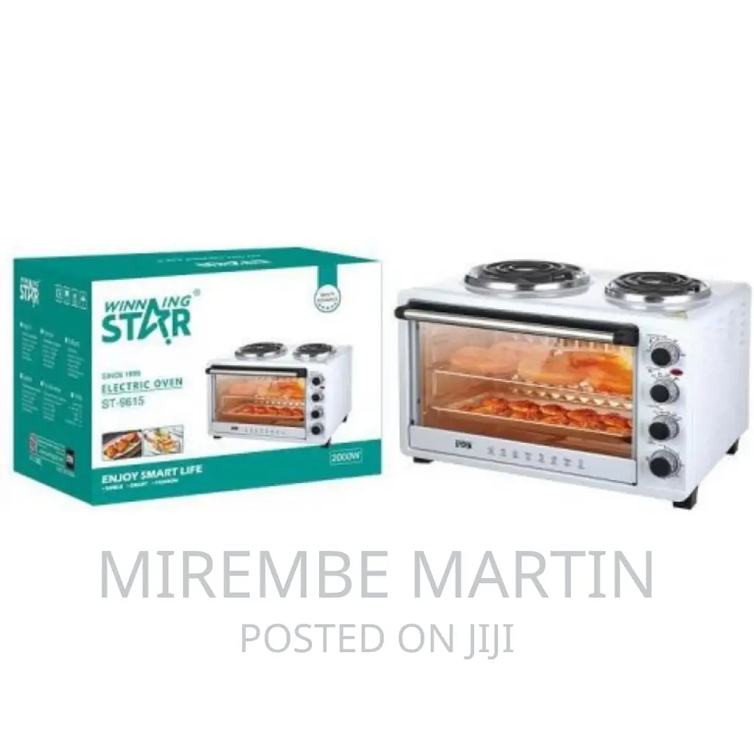 Winningstar 45L Electric Convection Oven
